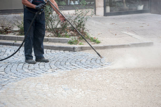Best Dumpster Area Cleaning  in Bear Rocks, PA